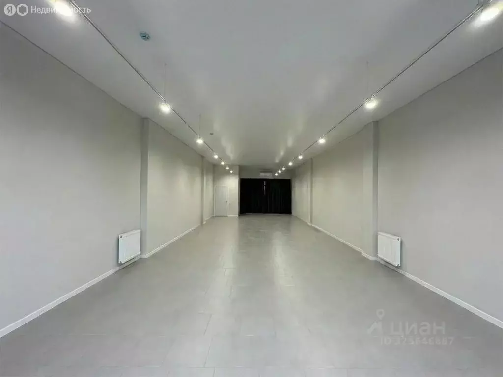 Помещение свободного назначения (93 м) - Фото 1