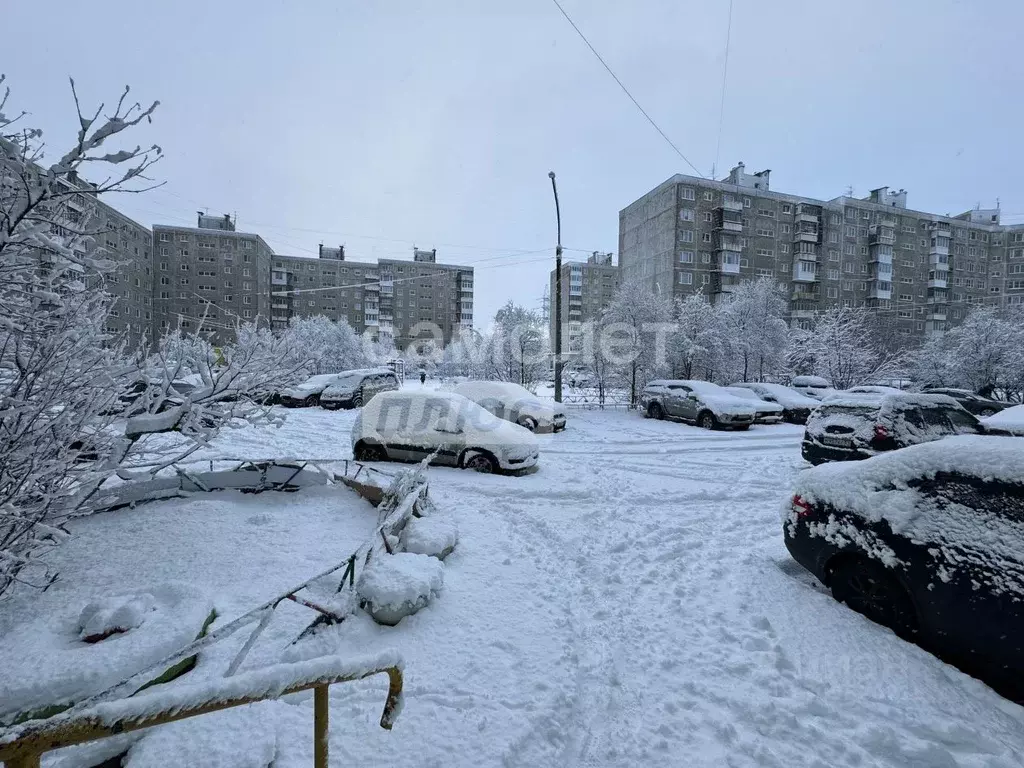 3-к кв. Мурманская область, Мурманск ул. Шабалина, 37 (70.0 м) - Фото 1