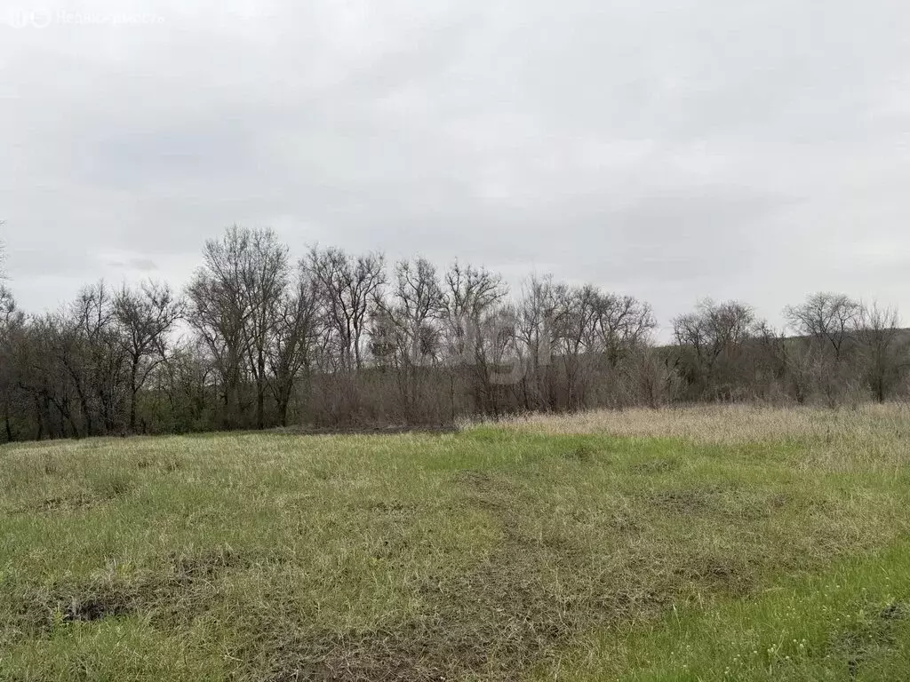 Участок в село Никольское, СТ Бродок (7 м) - Фото 1