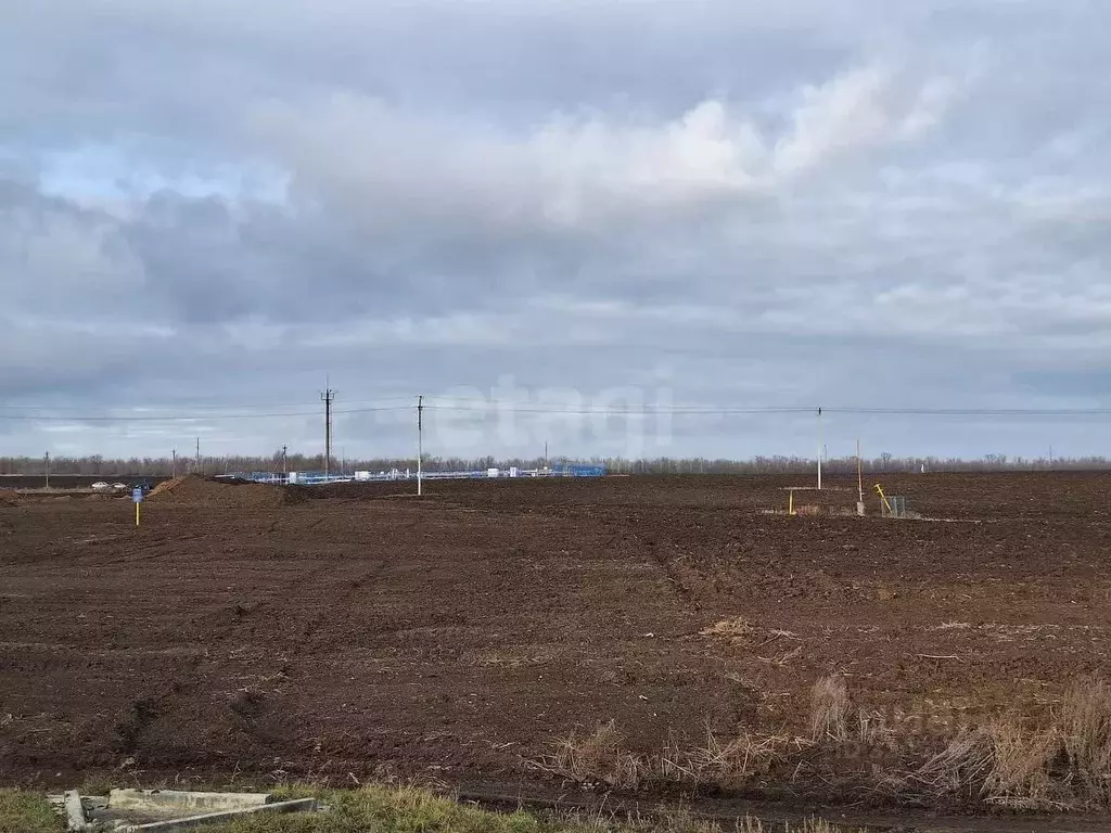 Участок в Саратовская область, Бартоломеевский хут. ул. Сиреневая, 4 ... - Фото 0