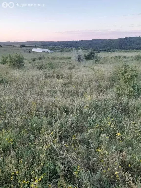 Участок в Белогорский район, Зуйское сельское поселение, село Баланово ... - Фото 1