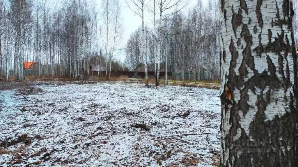 Участок в Тюменская область, Нижнетавдинский муниципальный округ, ... - Фото 1