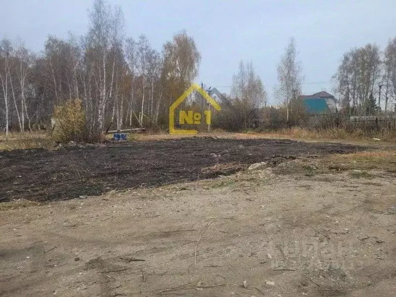 Участок в Челябинская область, Аргаяшский муниципальный округ, Тимер ... - Фото 1