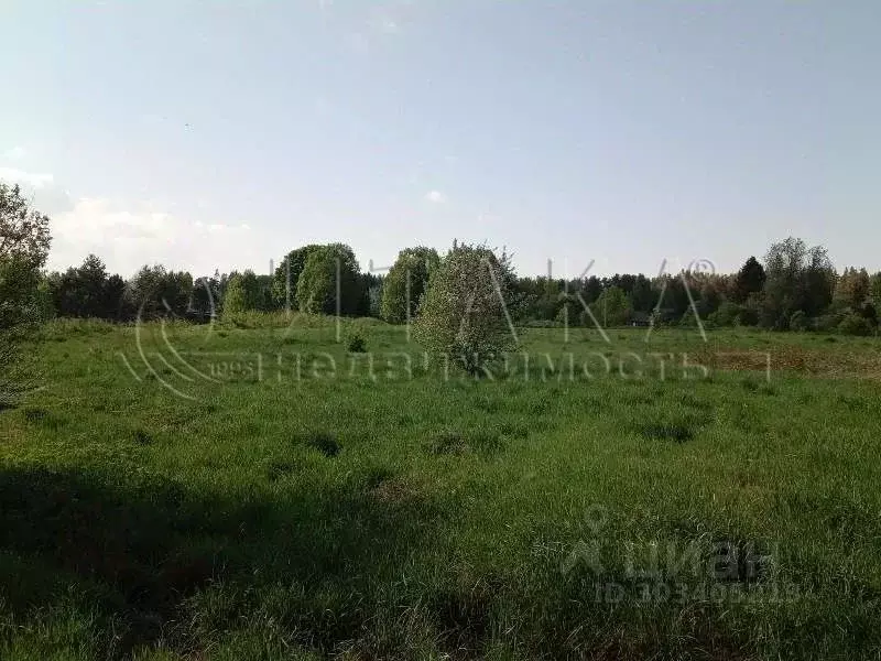 Участок в Ленинградская область, Приозерский район, Севастьяновское ... - Фото 0