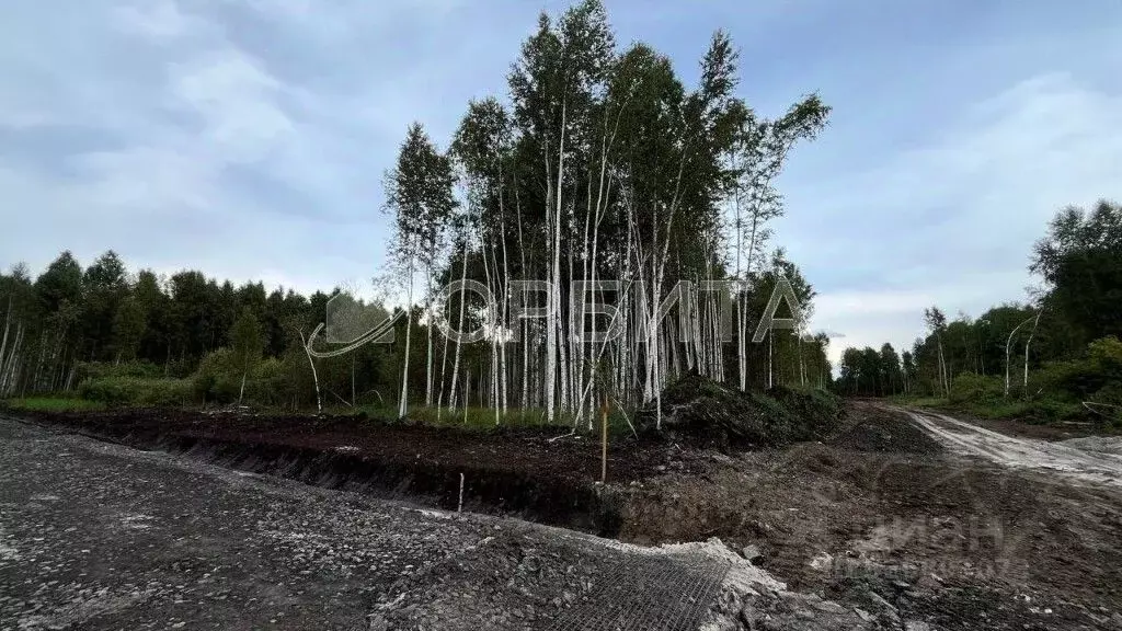 Участок в Тюменская область, Тюмень Строитель-1 СНТ, ул. Энергетиков, ... - Фото 1