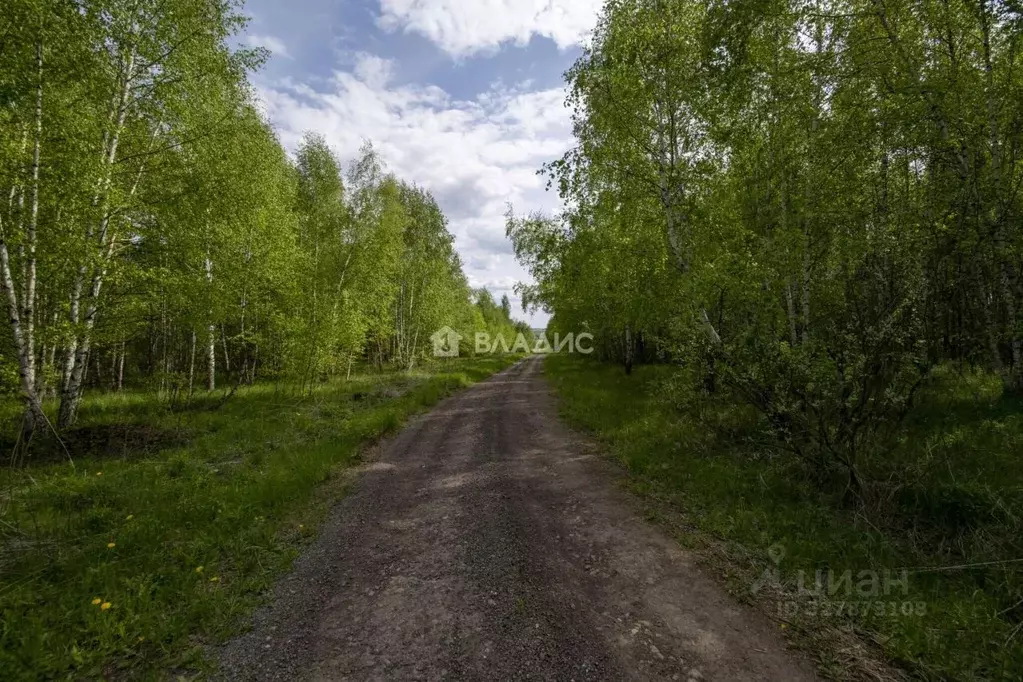Участок в Нижегородская область, Нижний Новгород д. Майдан, ул. ... - Фото 1