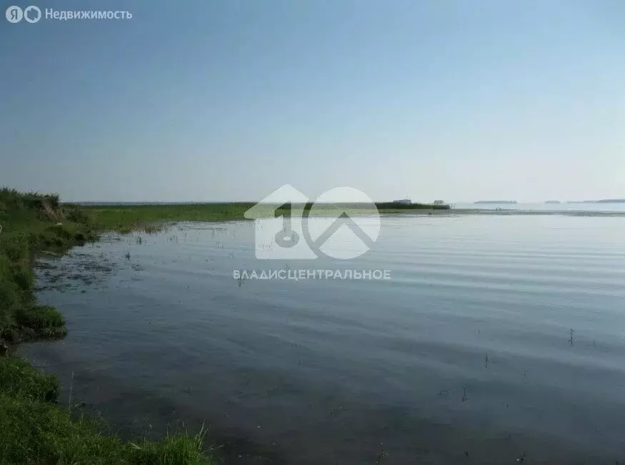 Участок в Ордынский район, Новопичуговский сельсовет (10 м) - Фото 2