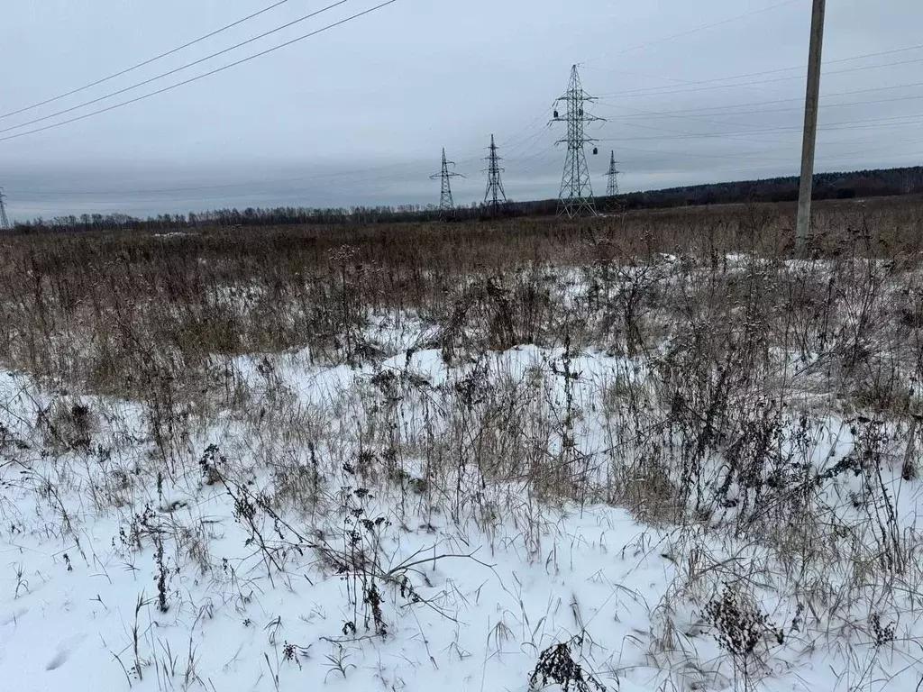 Участок в Московская область, Электроугли Богородский городской округ, ... - Фото 1