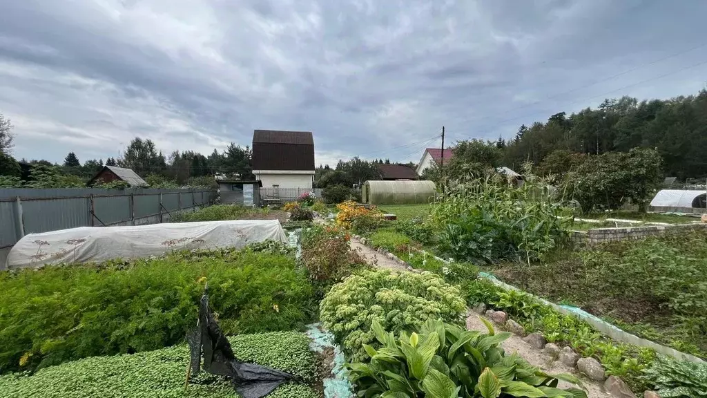 Участок в Тверская область, Конаковский муниципальный округ, Заря СНТ, ... - Фото 1