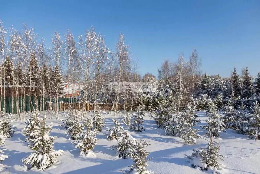 Участок в Московская область, Одинцовский городской округ, с. ... - Фото 2