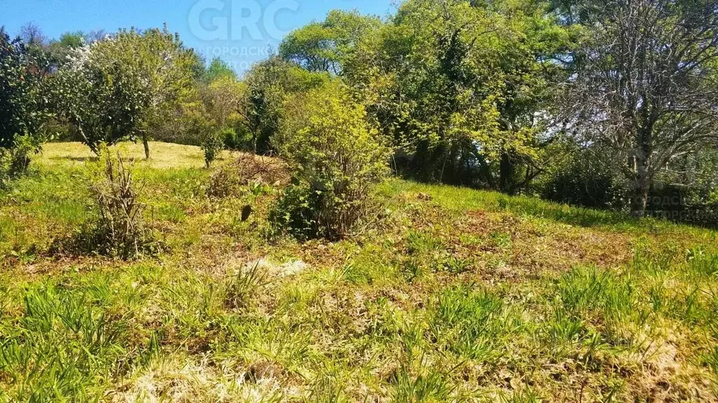 Участок в Краснодарский край, Сочи городской округ, с. Нижняя Шиловка ... - Фото 1