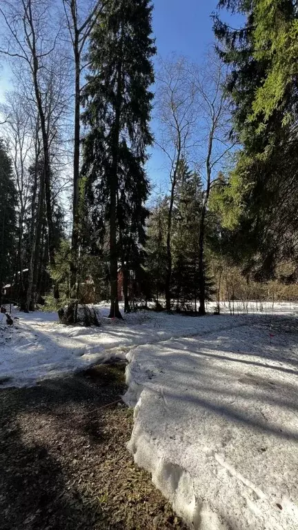 Участок в Московская область, Лобня Луговая мкр, Восточная ул., 10а ... - Фото 1