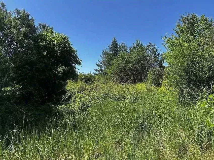Дом в Алтайский край, Барнаул городской округ, Искра СТ 368 (20 м) - Фото 2