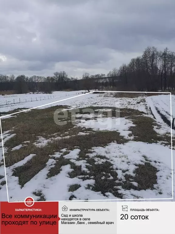 Участок в Белгородская область, Новооскольский муниципальный округ, с. ... - Фото 1