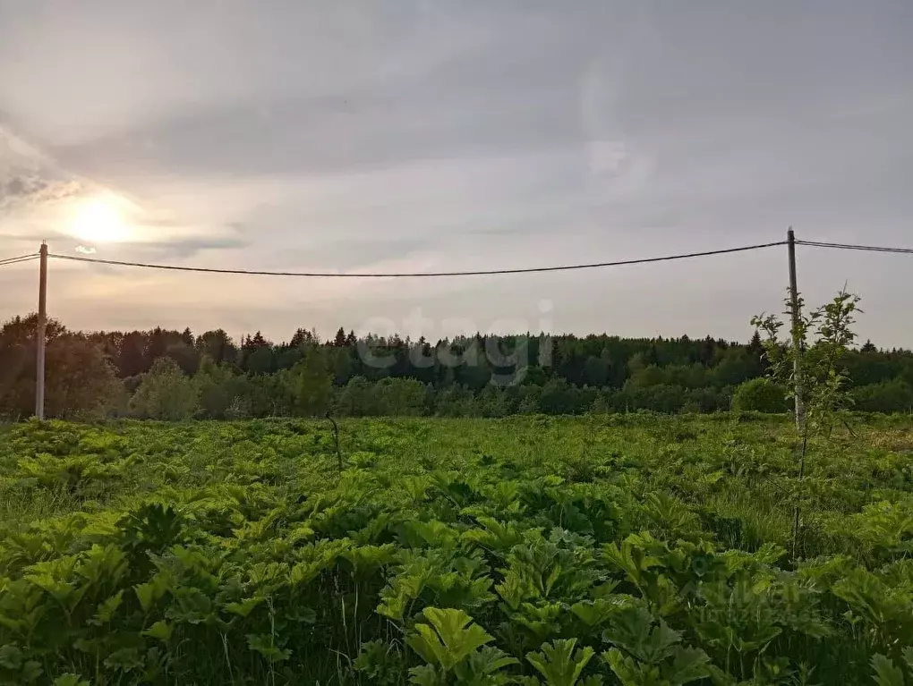 Участок в Московская область, Дмитровский муниципальный округ, с. ... - Фото 1