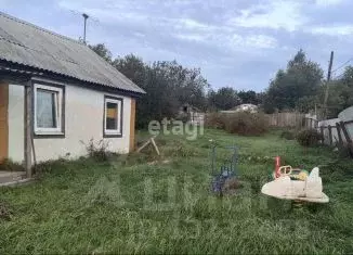 Дом в Амурская область, Благовещенский район, с. Владимировка  (44 м) - Фото 1