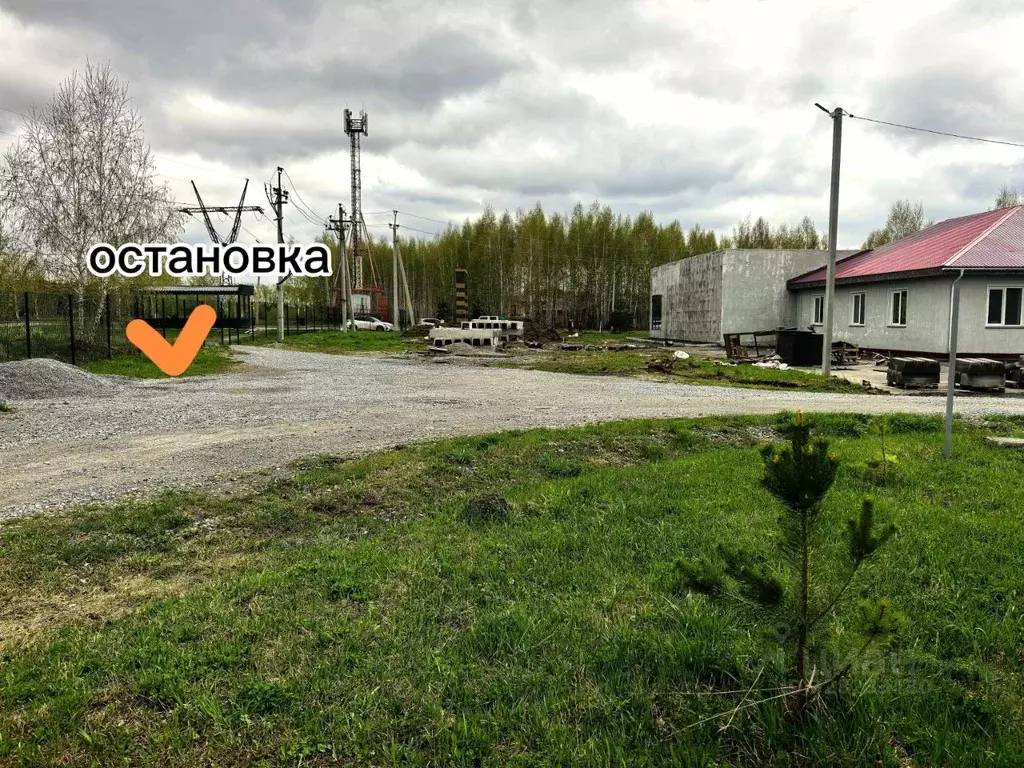 Участок в Новосибирская область, с. Новолуговое ул. Сиреневая (9.5 ... - Фото 1