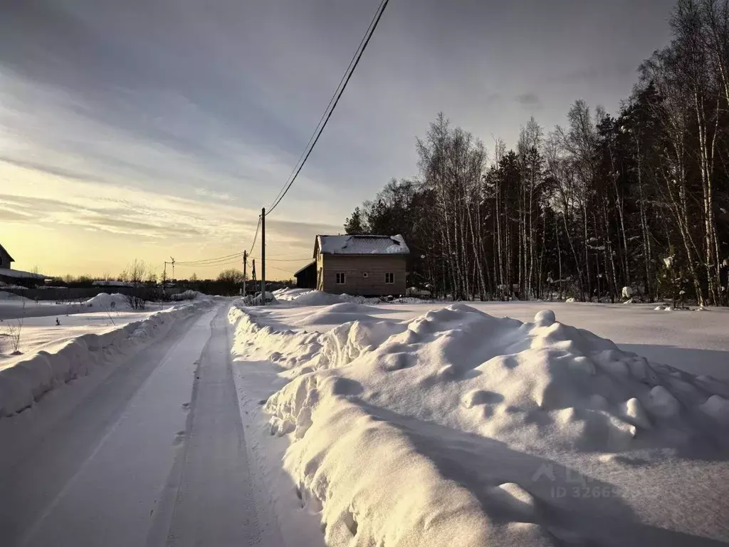 Участок в Московская область, Раменский муниципальный округ, Елкино кп ... - Фото 2