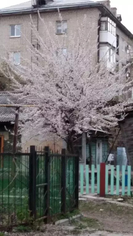 2-к. квартира, 47 м, 9/9 эт. - Фото 1