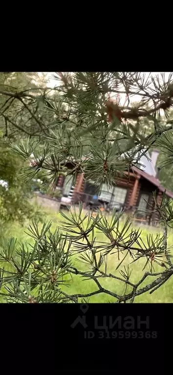Дом в Ленинградская область, Волховский район, Кисельнинское с/пос, д. ... - Фото 1