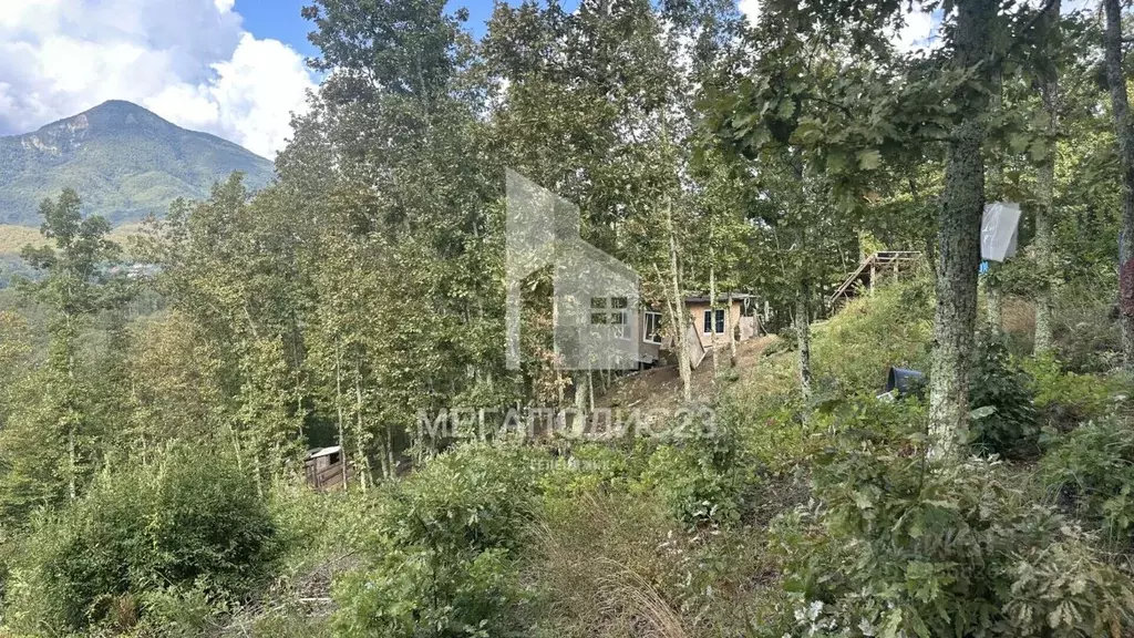 Дом в Краснодарский край, Геленджик городской округ, с. Михайловский ... - Фото 2
