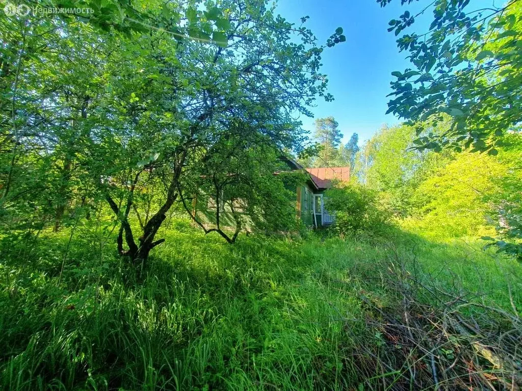 Дом в городской посёлок Вырица, Хвалынская улица, 12 (48 м) - Фото 0