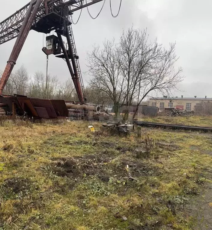 Помещение свободного назначения в Тульская область, Щекинский район, ... - Фото 1
