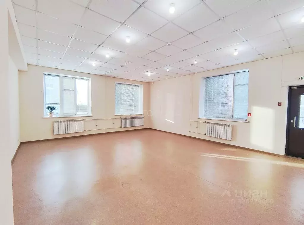 Помещение свободного назначения в Новосибирская область, Новосибирск ... - Фото 1