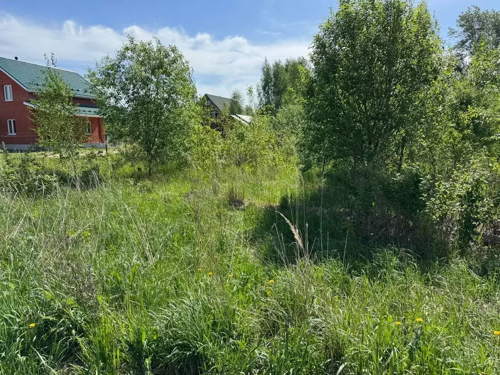 Участок в Московская область, Богородский городской округ, с. ... - Фото 0