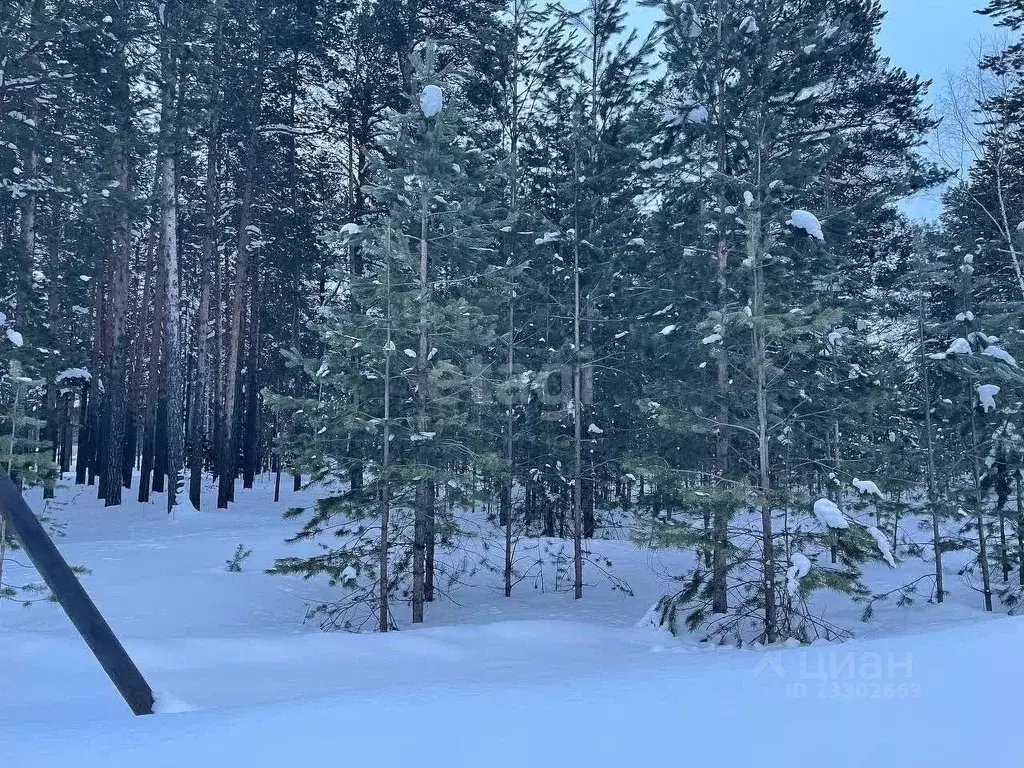 Участок в Ханты-Мансийский АО, Сургутский район, Барсово городское ... - Фото 1