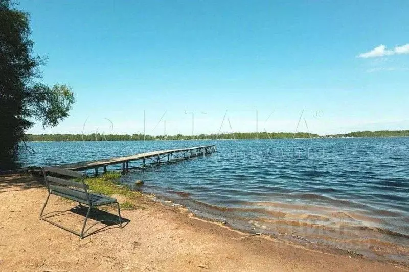 Участок в Ленинградская область, Выборгский район, Красносельское ... - Фото 1