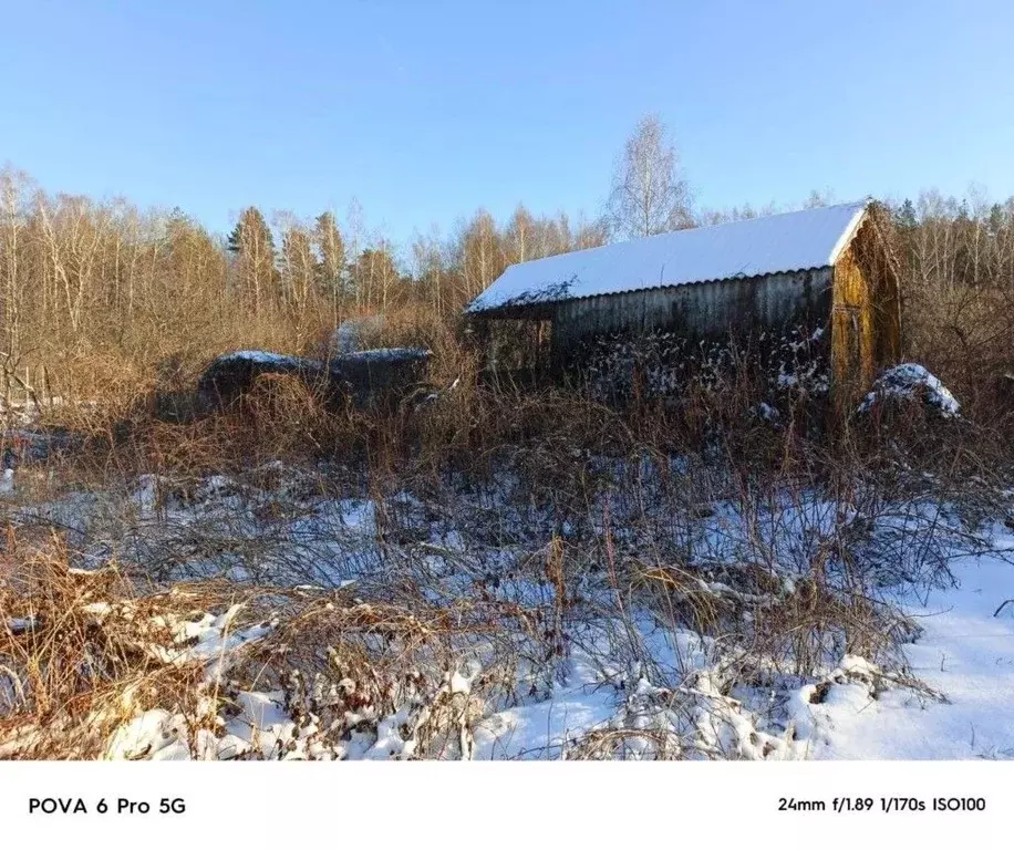 Участок в Рязанская область, Шиловское городское поселение, Тырница ... - Фото 1
