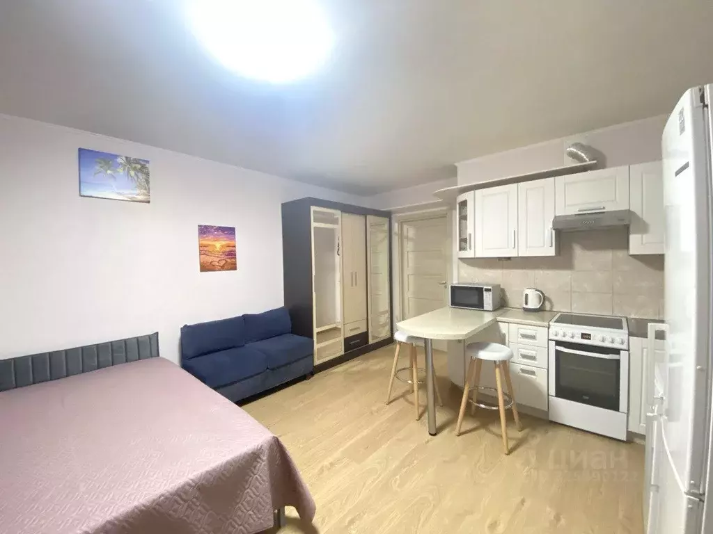 Студия Санкт-Петербург просп. Энергетиков, 11к2 (26.0 м) - Фото 1