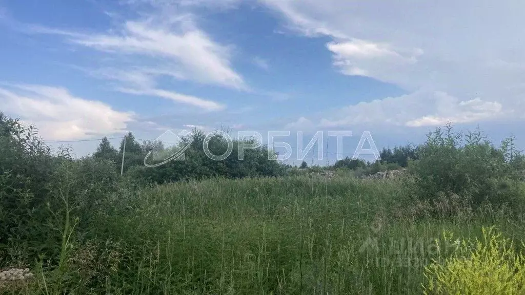 Участок в Тюменская область, Тюмень Поле Чудес-2 садовое товарищество, ... - Фото 2