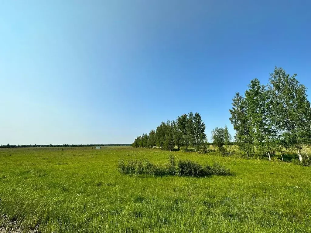 Участок в Ленинградская область, Гатчинский район, д. Виркино 40 ... - Фото 0