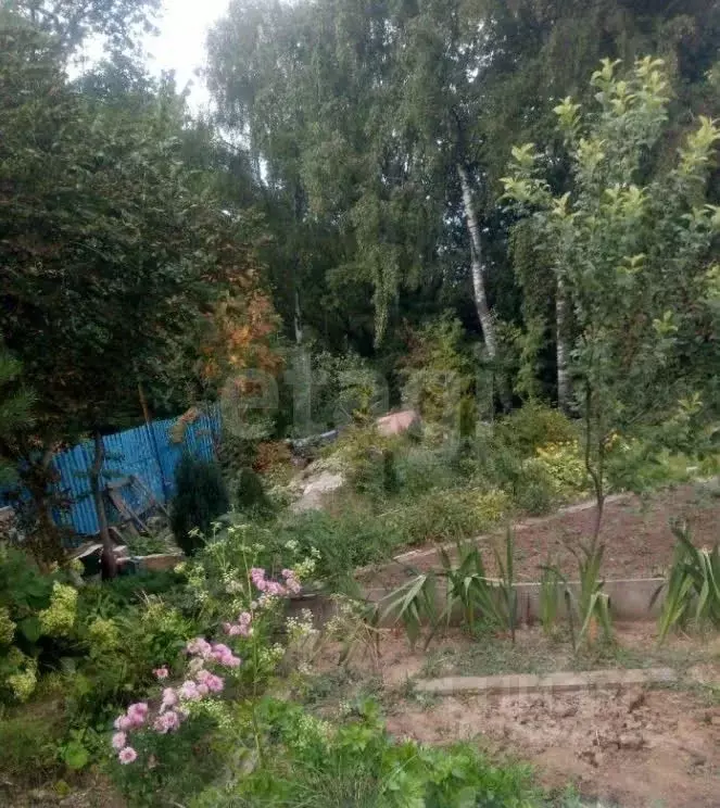 Участок в Нижегородская область, Нижний Новгород Мыза СНТ, 239А (4.43 ... - Фото 1