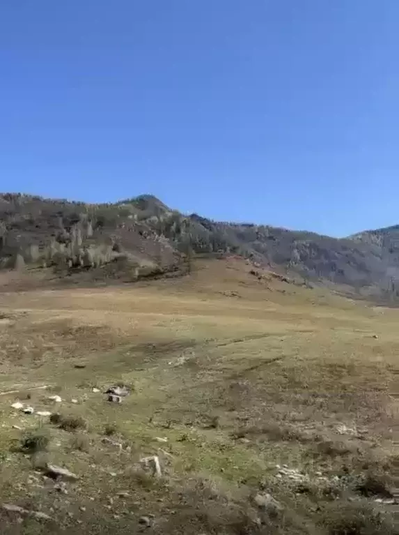 Участок в Алтай, Онгудайский район, с. Улита  (68.0 сот.) - Фото 1