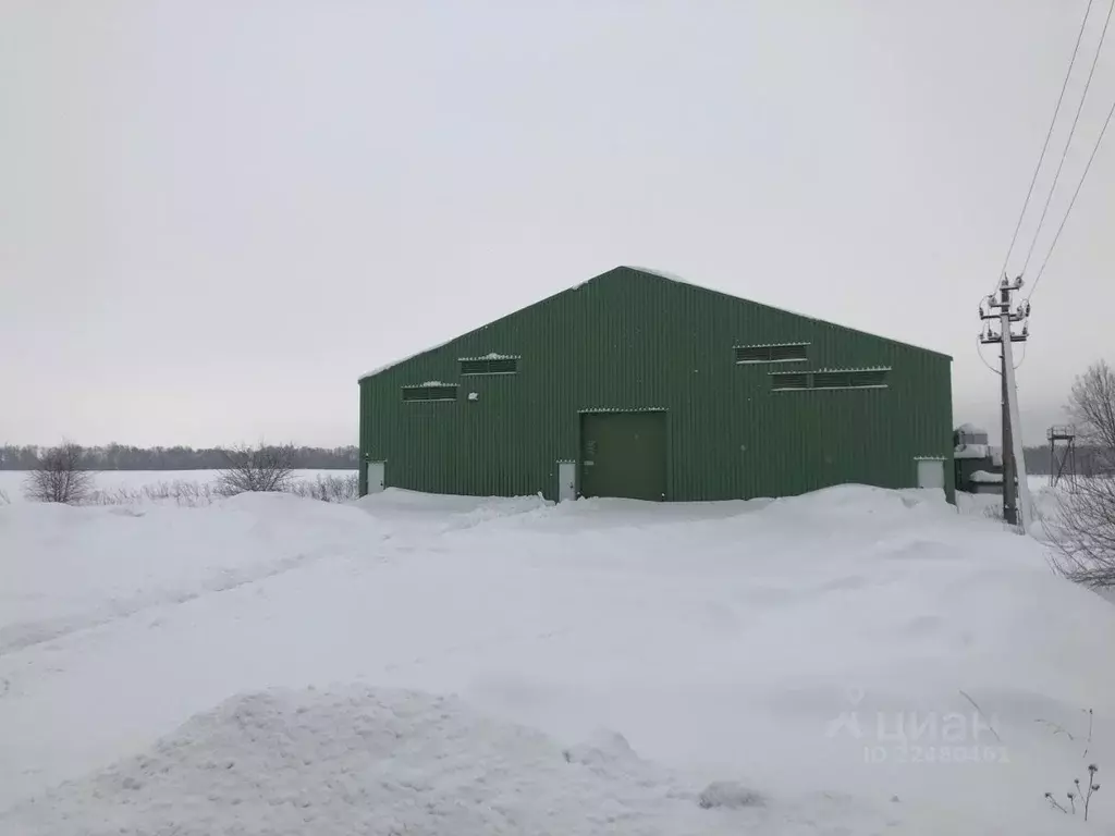 Склад в Ленинградская область, Кингисеппский район, Пустомержское . - Фото 0