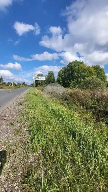 Участок в Новгородская область, Новгородский район, Савинское с/пос, ... - Фото 2
