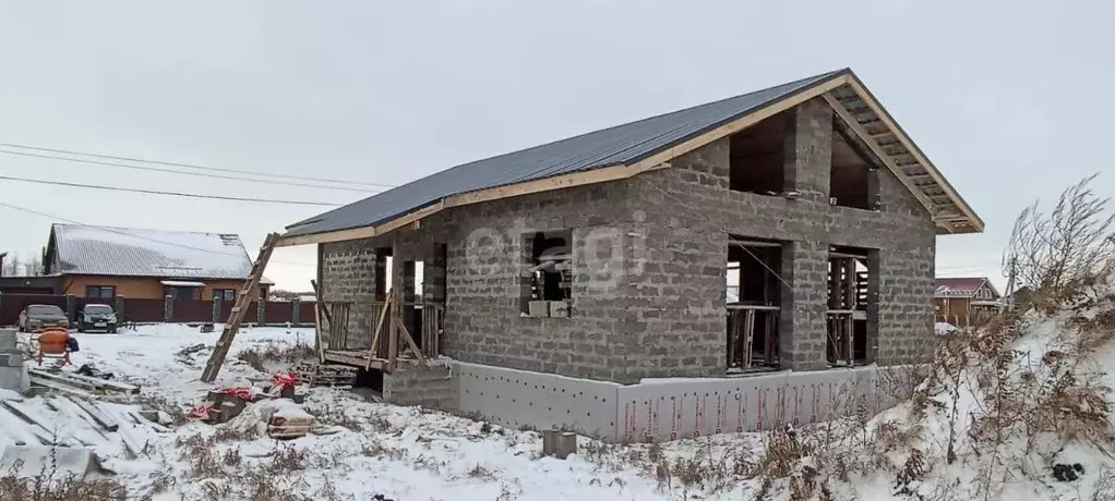 Дом в Омская область, Омский район, с. Дружино, Александровская ... - Фото 0