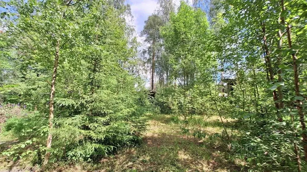 участок в ленинградская область, гатчинский район, вырица городской . - Фото 0