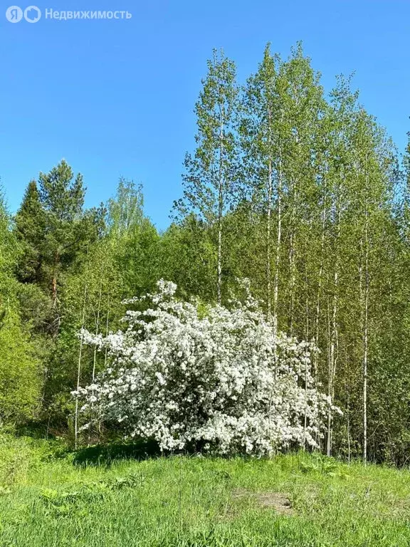 Дом в Березник, Заречная улица, 23 (70 м) - Фото 1