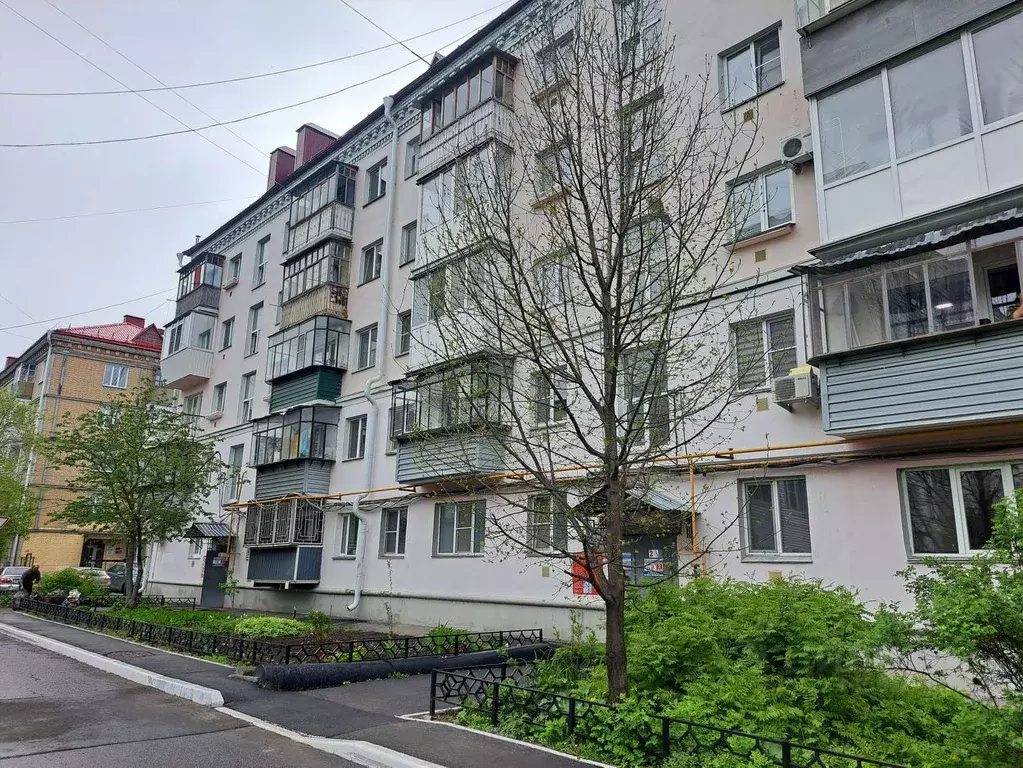 1-к кв. Курганская область, Курган ул. Красина, 68 (32.5 м) - Фото 0