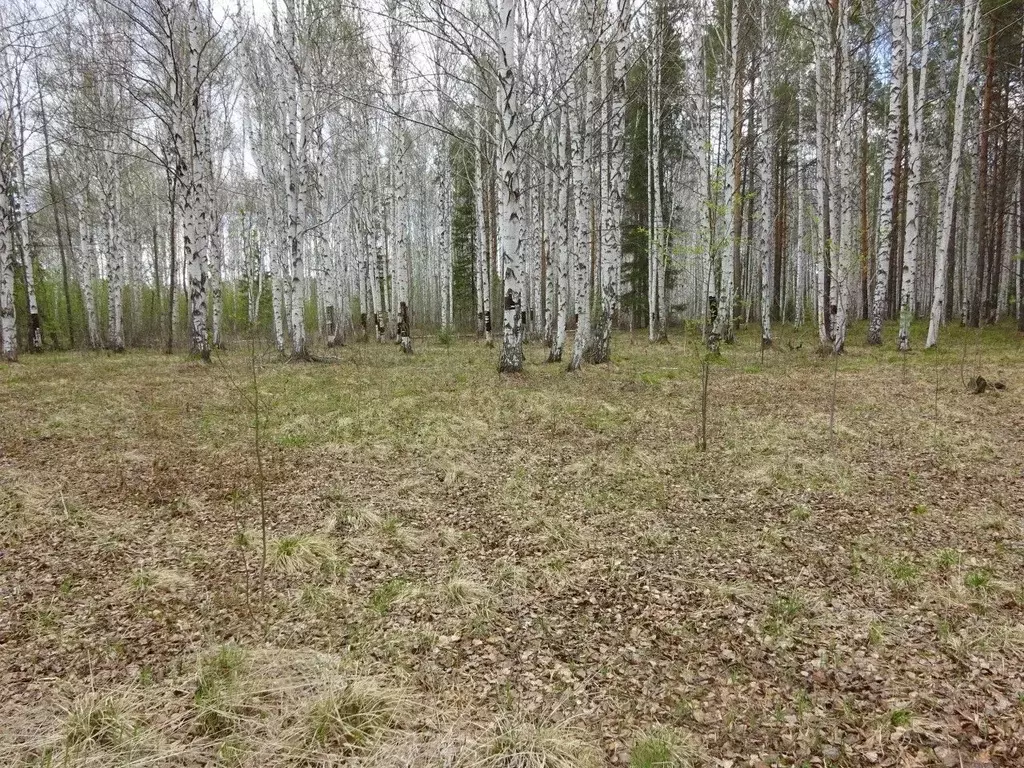 Участок в Свердловская область, Ревда муниципальный округ, пос. ... - Фото 0