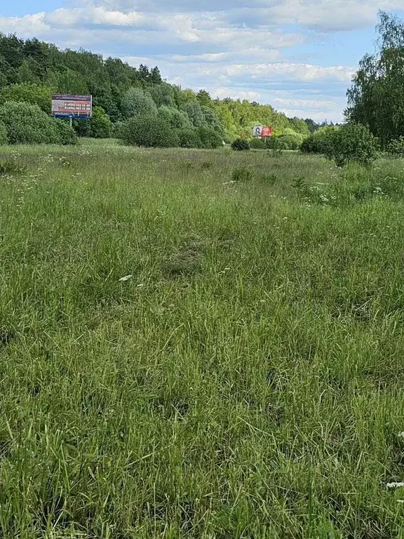 Участок в Московская область, Щелково городской округ, д. Большие ... - Фото 2