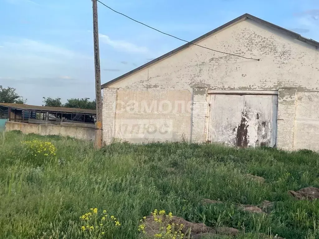 Производственное помещение в Тамбовская область, Гавриловский ... - Фото 1