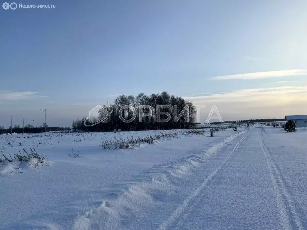 Участок в Тюмень, садовое товарищество Липовый Остров (40 м) - Фото 1