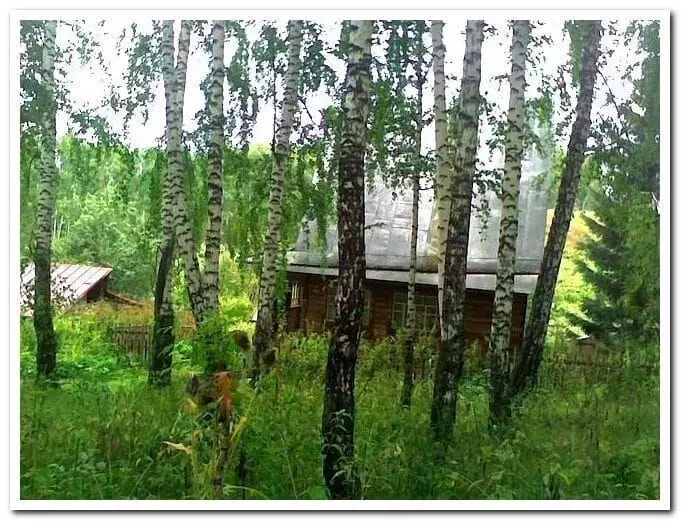 Дом в Новосибирская область, Мошковский район, Тасино  (54 м) - Фото 0