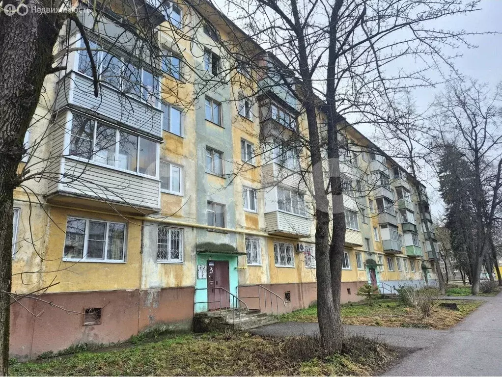 2-комнатная квартира: Воскресенск, микрорайон Москворецкий, улица ... - Фото 1
