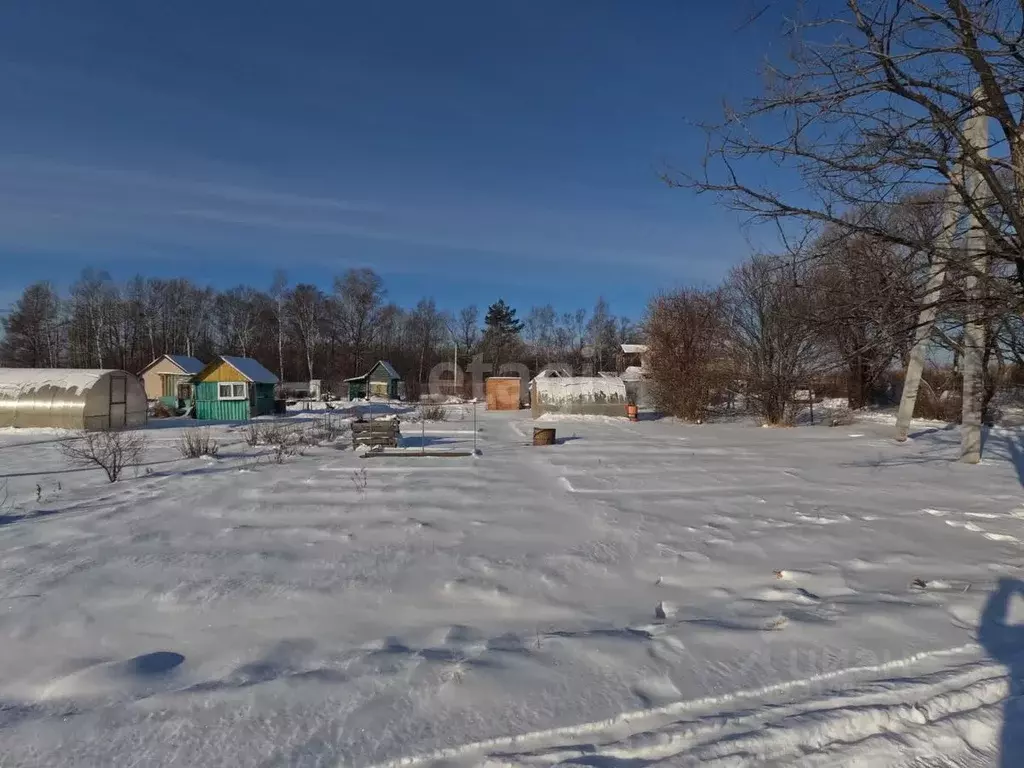 Участок в Хабаровский край, Хабаровск Сад-4 садовое товарищество,  ... - Фото 1